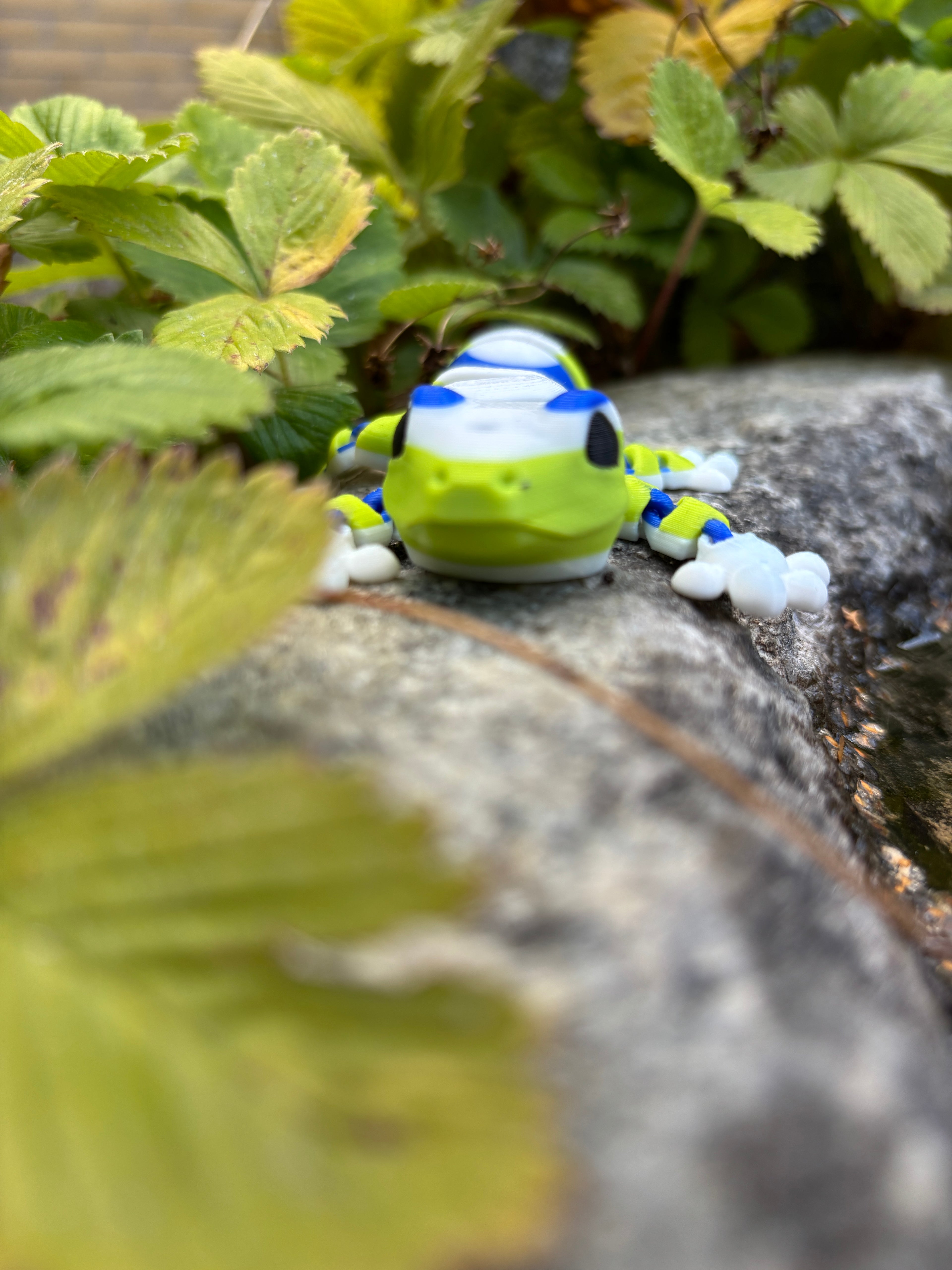 Zippy, Stribehalet Vidunder gekko fra Den Hviskende Jungle