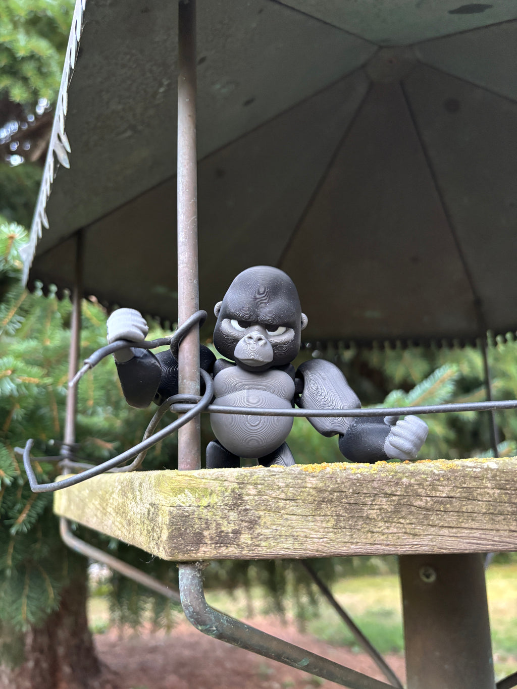 Grumble, Den Tavse Vogter fra Den Glemte Jungle