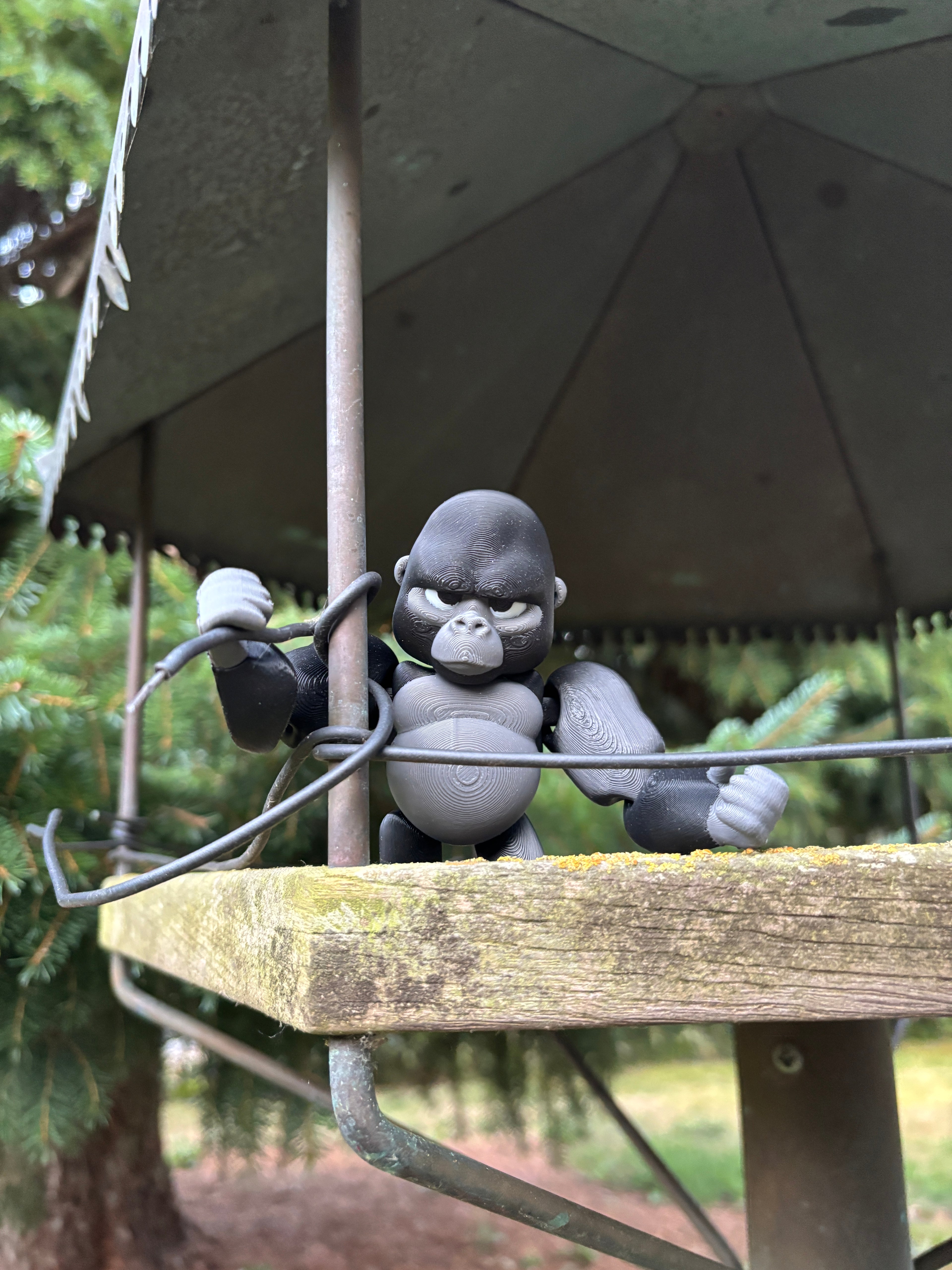 Grumble, Den Tavse Vogter fra Den Glemte Jungle