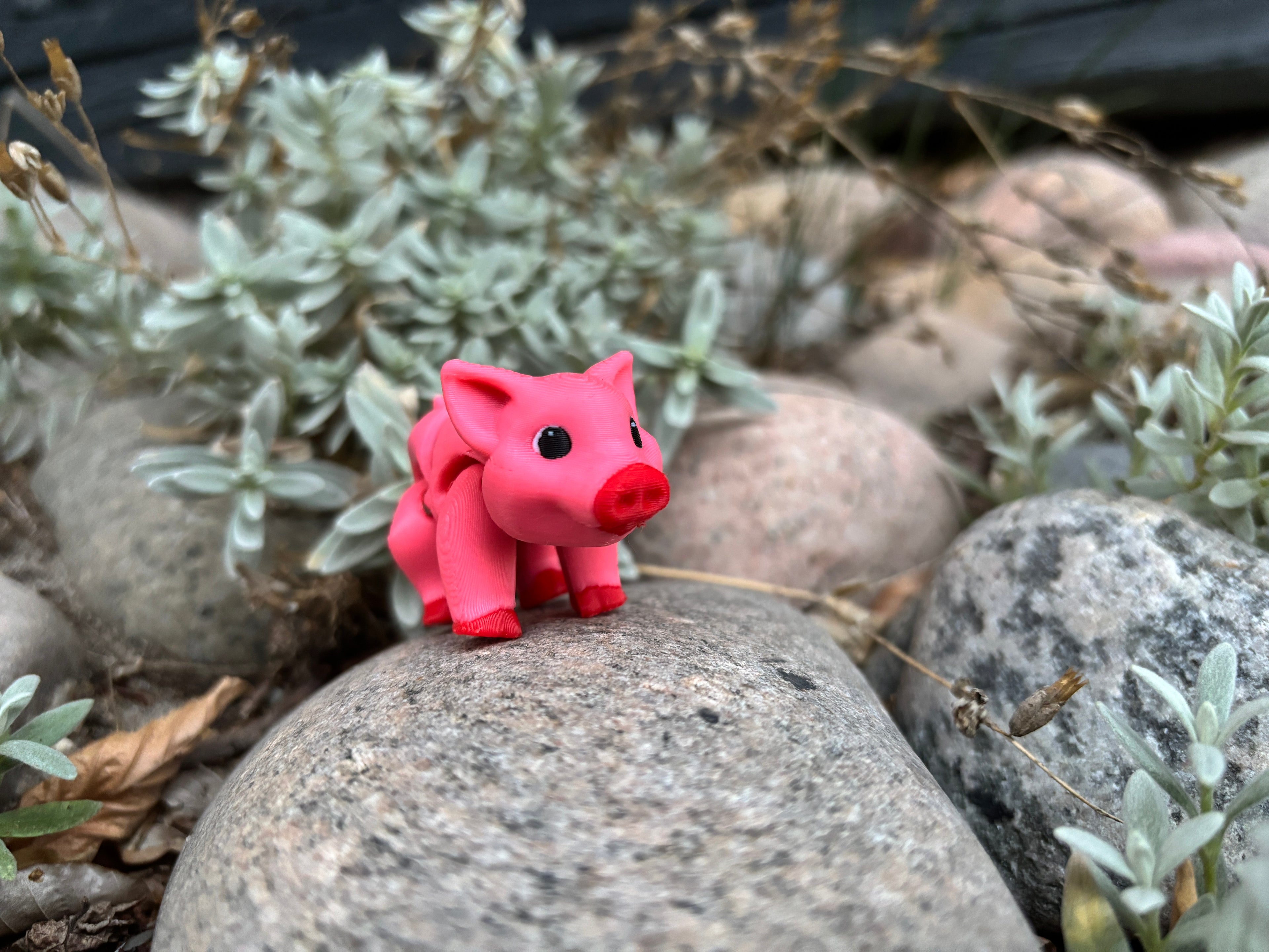 Percy, Den Pjattede Pjask-Gris fra Solstråle Gård