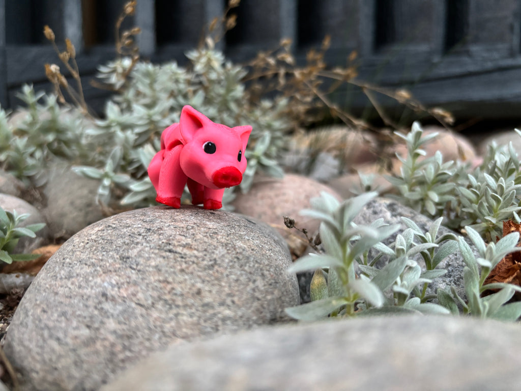 Percy, Den Pjattede Pjask-Gris fra Solstråle Gård
