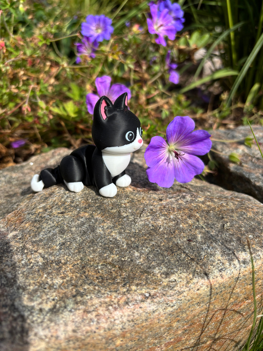 Mittens, Midnatsbibliotekets Kat fra Whimsey’s Vindue