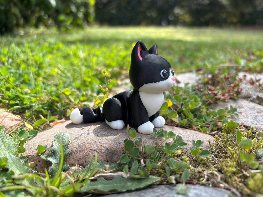 Mittens, Midnatsbibliotekets Kat fra Whimsey’s Vindue