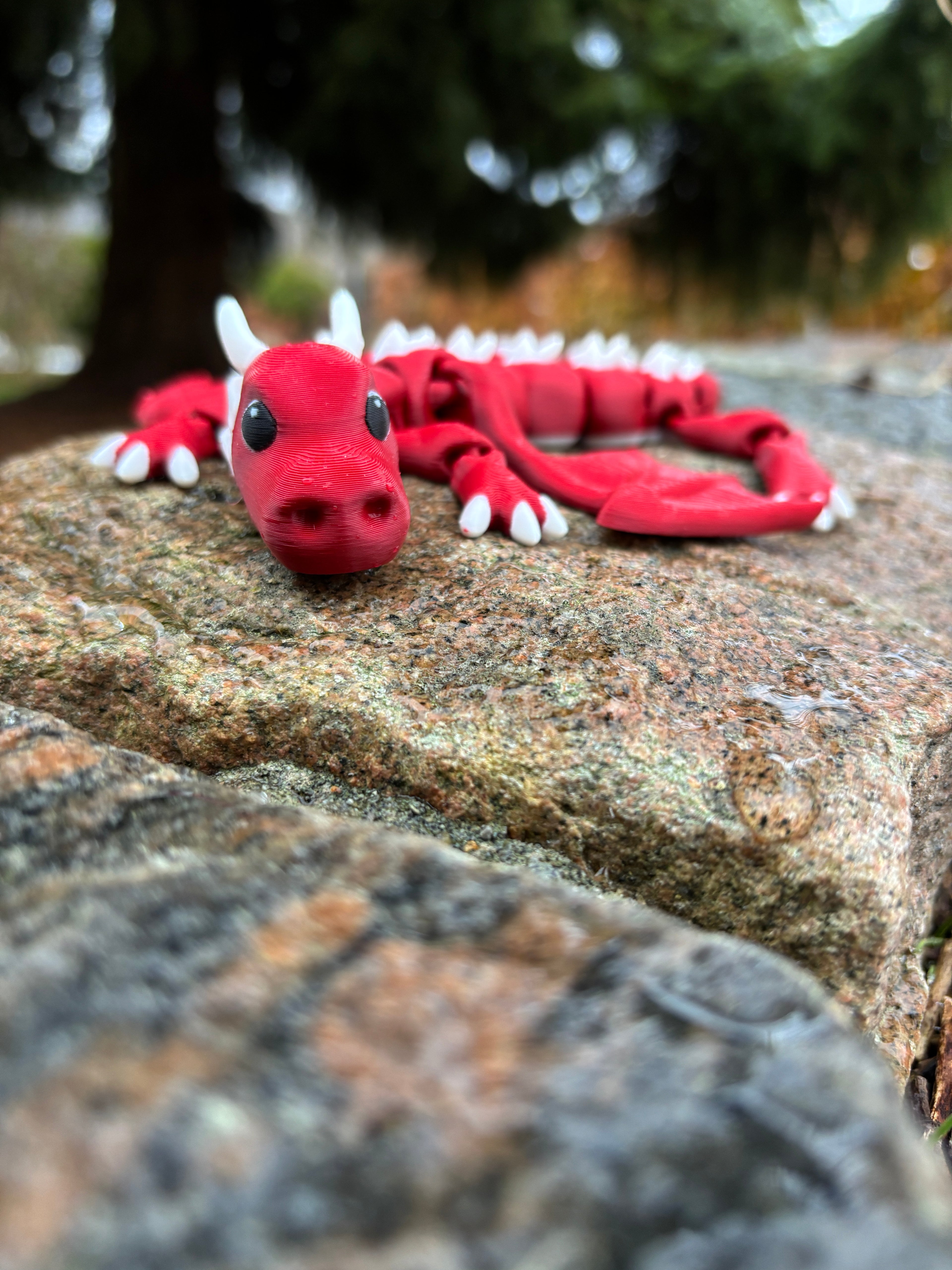 Tåge Tårnets Magiske Drager – Glimmersvinge, Ildslipse, Dugdanser & Sprigglekams