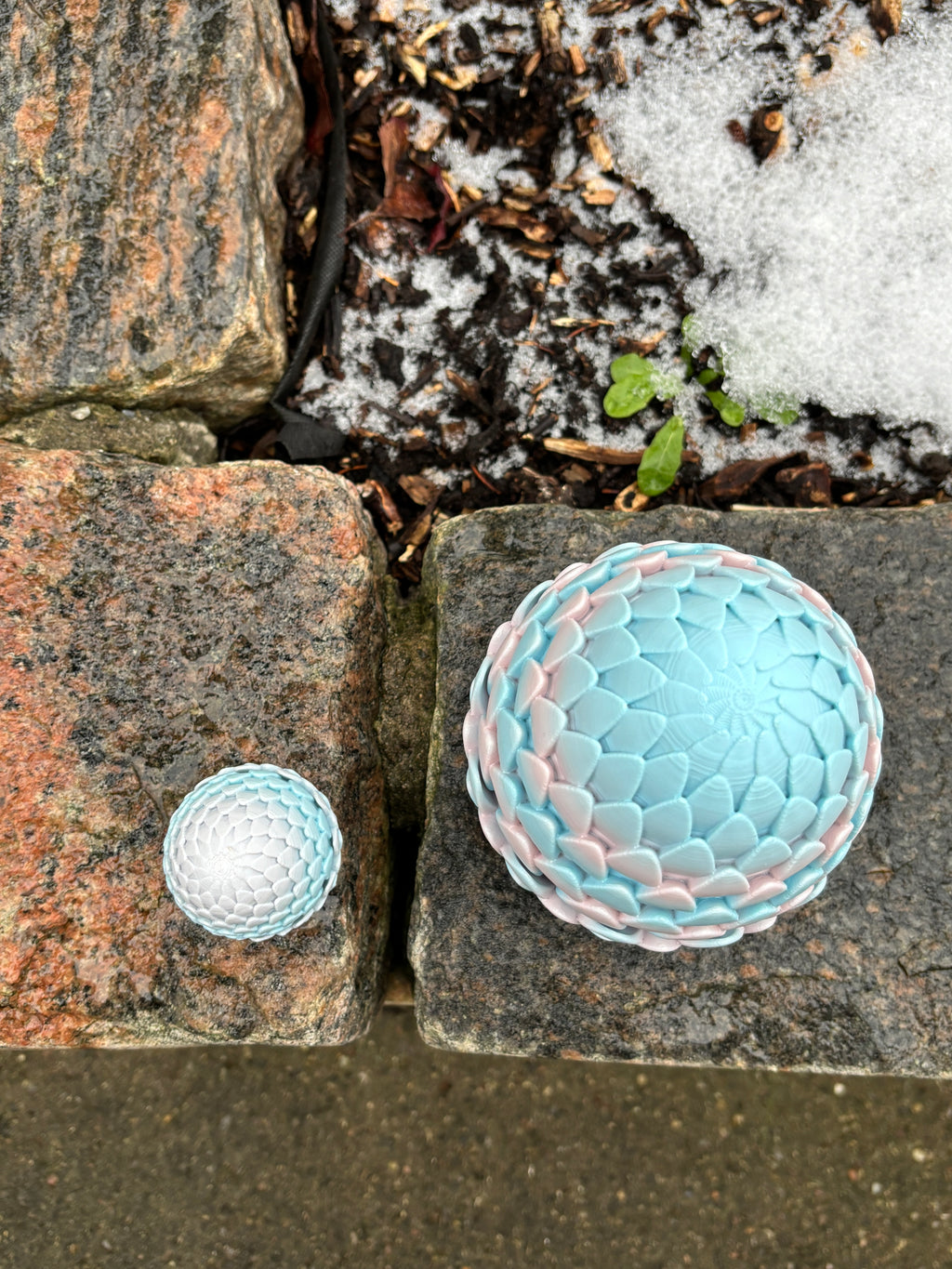 Tåge Tårnets Drageskæl | Det Drømmende Drage æg