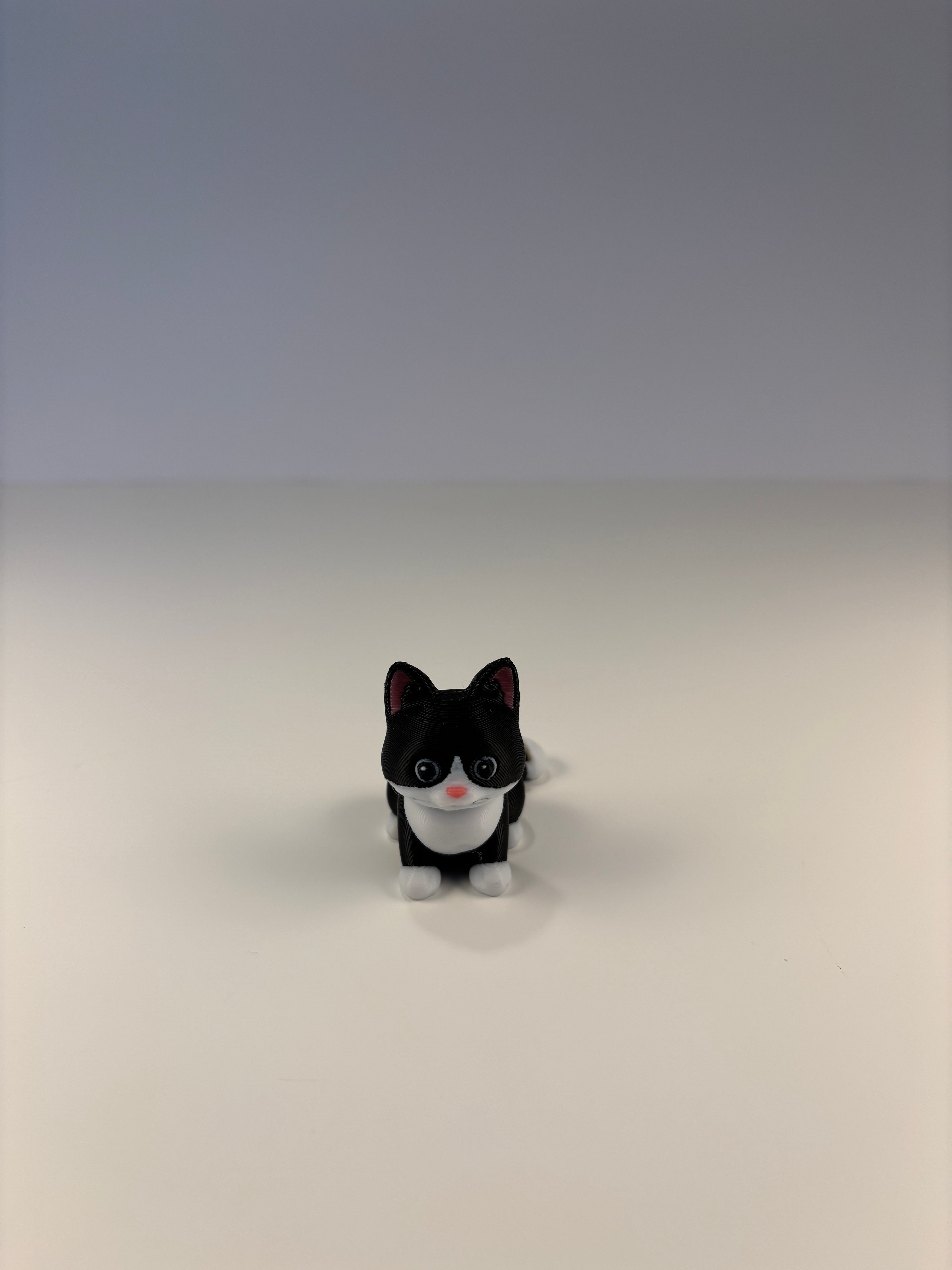 Mittens, Midnatsbibliotekets Kat fra Whimsey’s Vindue