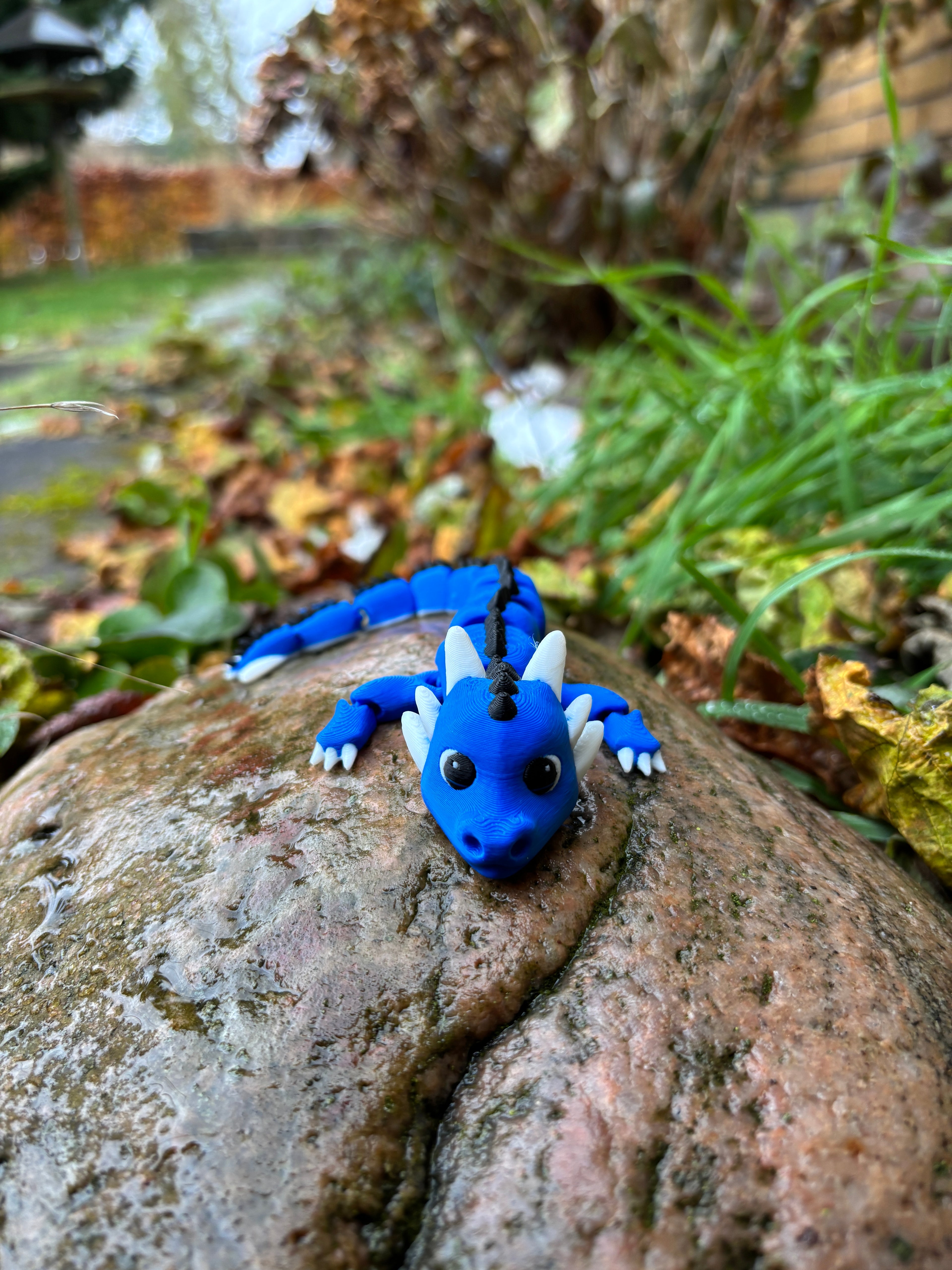 Drageungerne fra Tåge Tårnet – Bobleput Snirkehale, Gnistre Pip Flammestump, Tusluna Drømmestråle & Spirekvist Bladkrøl