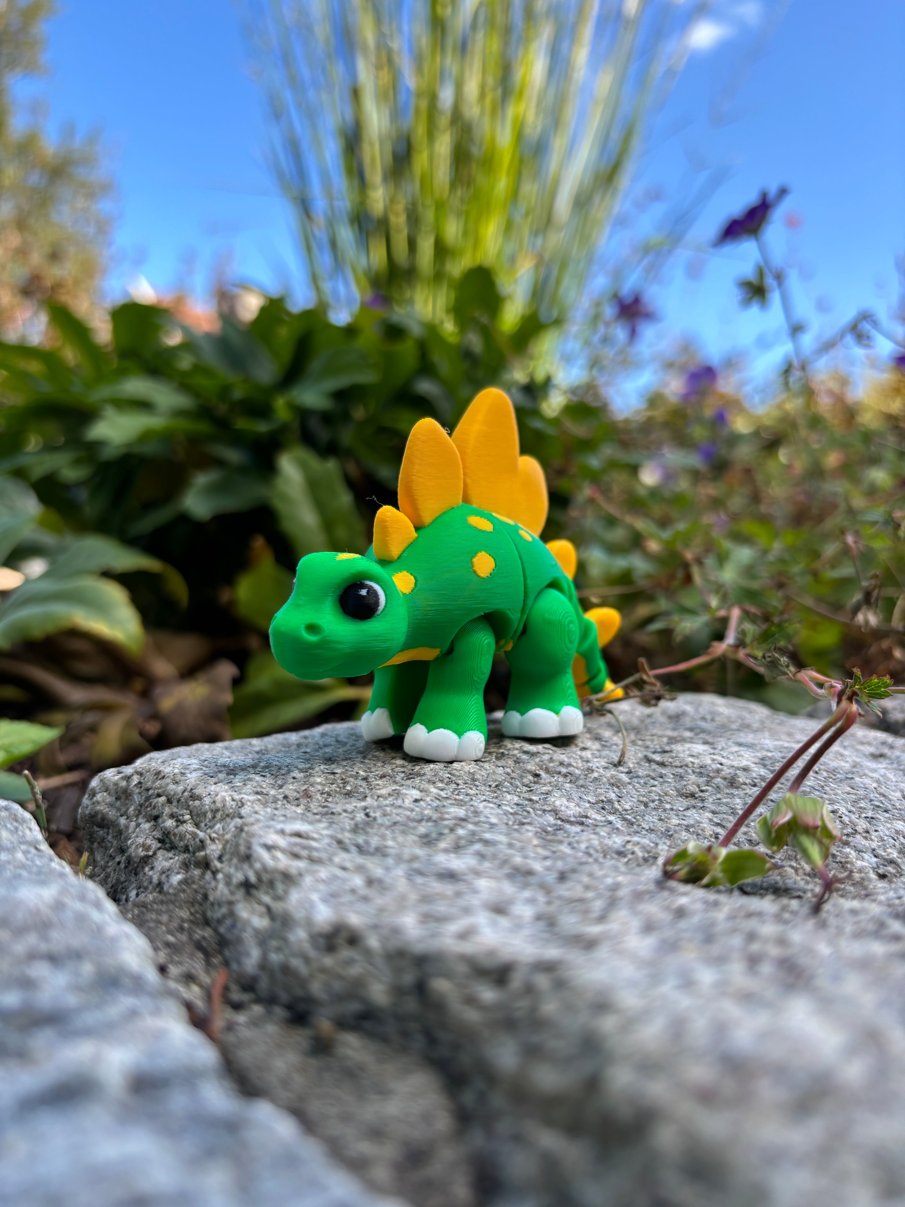 Sunny & Shadow, Spidshale-Stegoerne fra Glimmerbregne-skoven