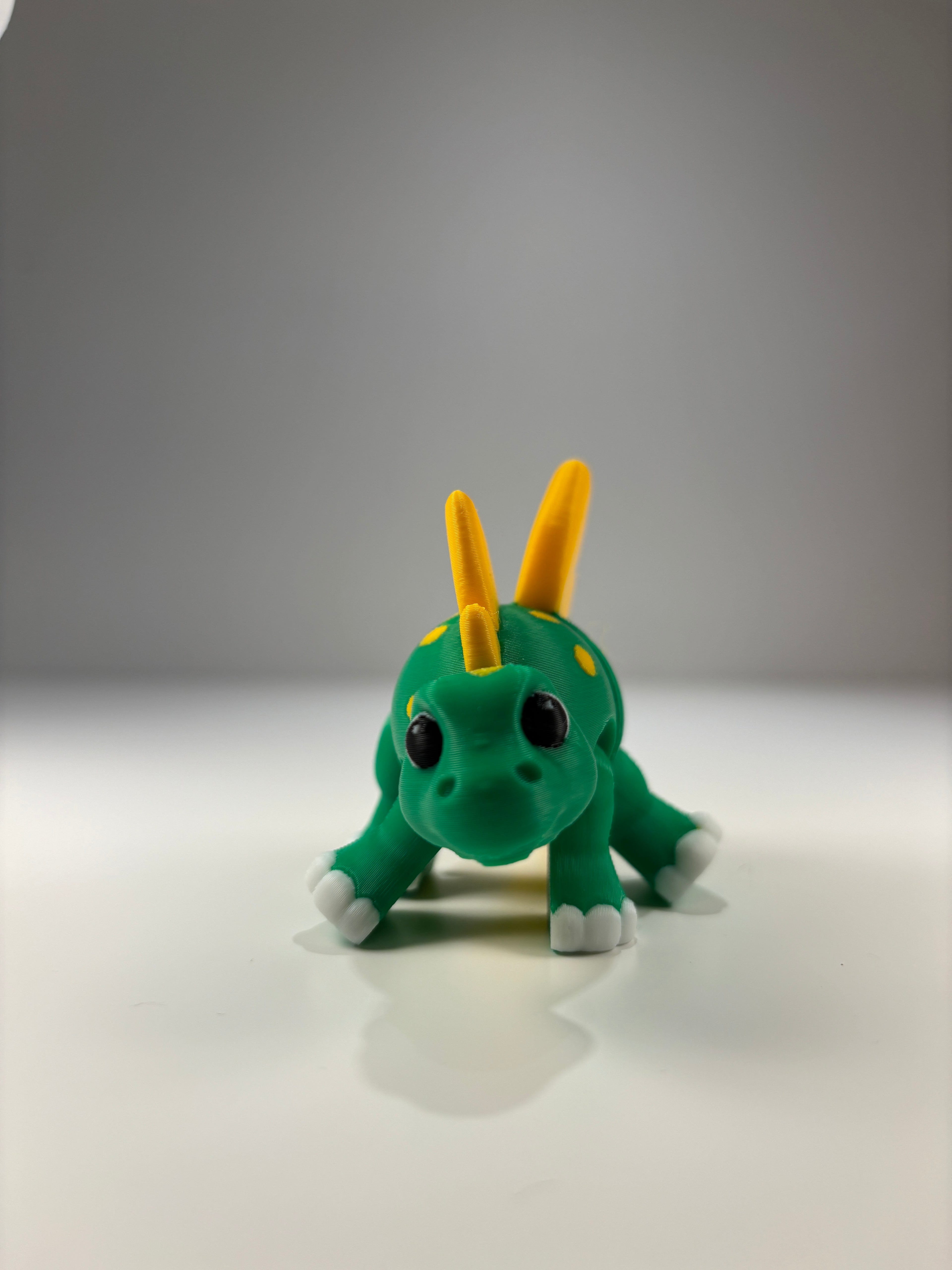 Sunny & Shadow, Spidshale-Stegoerne fra Glimmerbregne-skoven