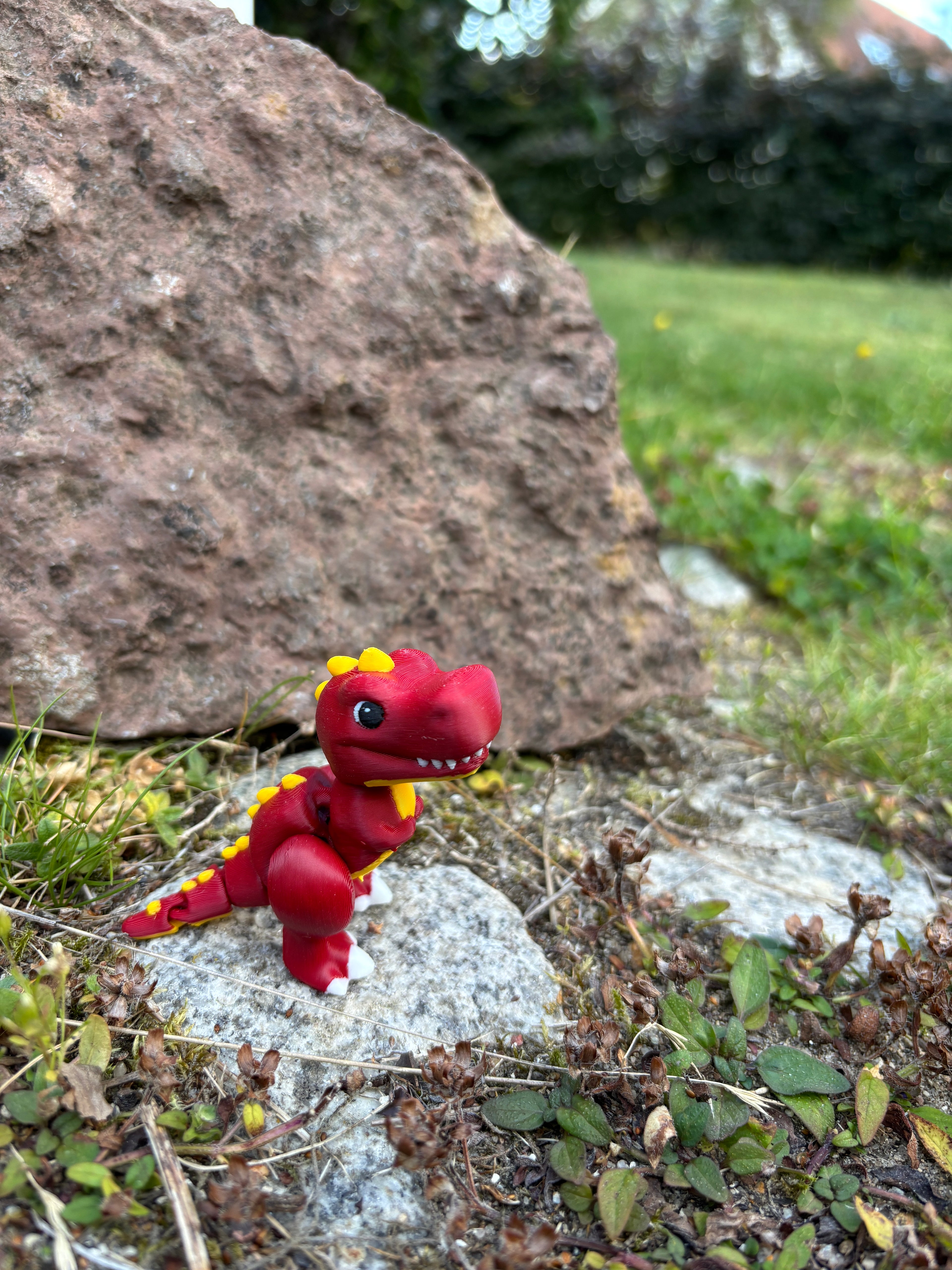 Rexley, Den Brølende Røde Raket fra Djærv Klit