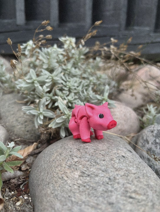 Percy, Den Pjattede Pjask-Gris fra Solstråle Gård