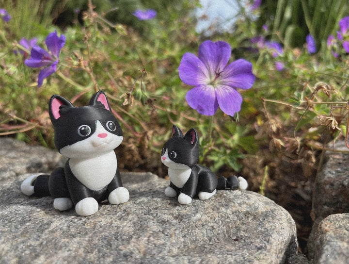 Mittens, Midnatsbibliotekets Kat fra Whimsey’s Vindue